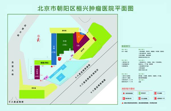 操大屄电影在线北京市朝阳区桓兴肿瘤医院平面图